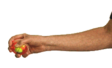 ejercicio antebrazo P
